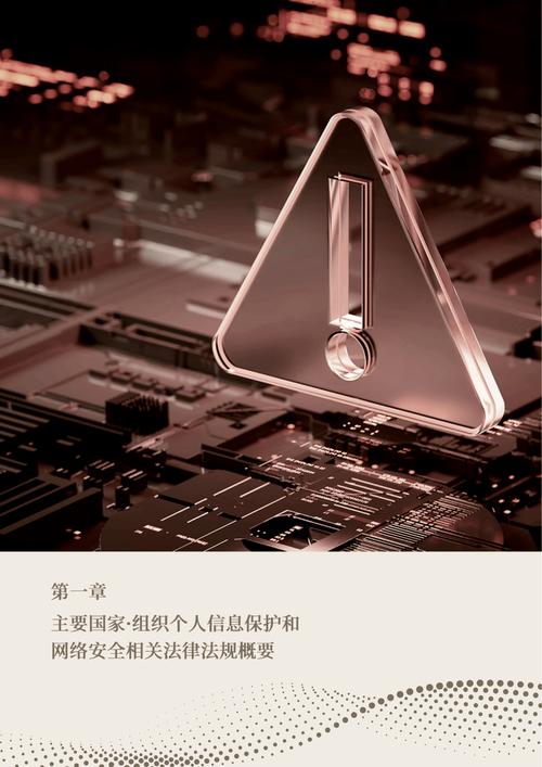 2025中国个人信息保护和网络安全法律法规趋势与应对策略报告